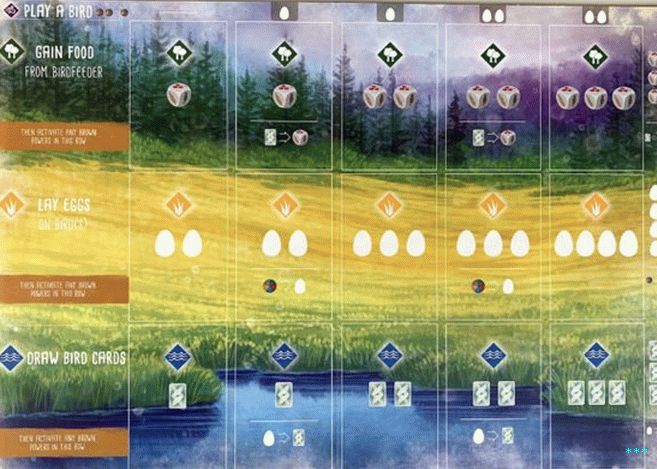 You play bird cards into one of three habitats, each المقابلة لعمل معين.  ال  more cards you've played in a row, the more powerful that action becomes.