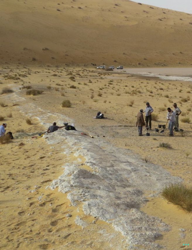 The Al-Wusta Site looked much more hospitable 87,000 years ago.