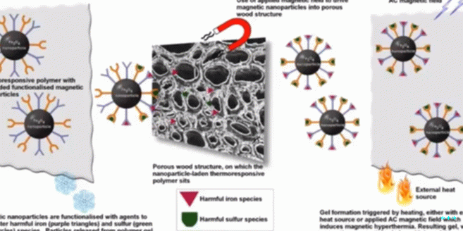 This diagram explains how the nanocomposite will soak into the wood, remove the iron particles, and seep out again.