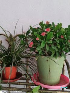 xiaomi mi mix 2s cam sample (10)