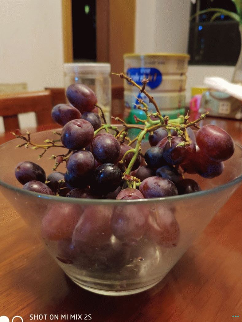 xiaomi mi mix 2s cam sample (21)
